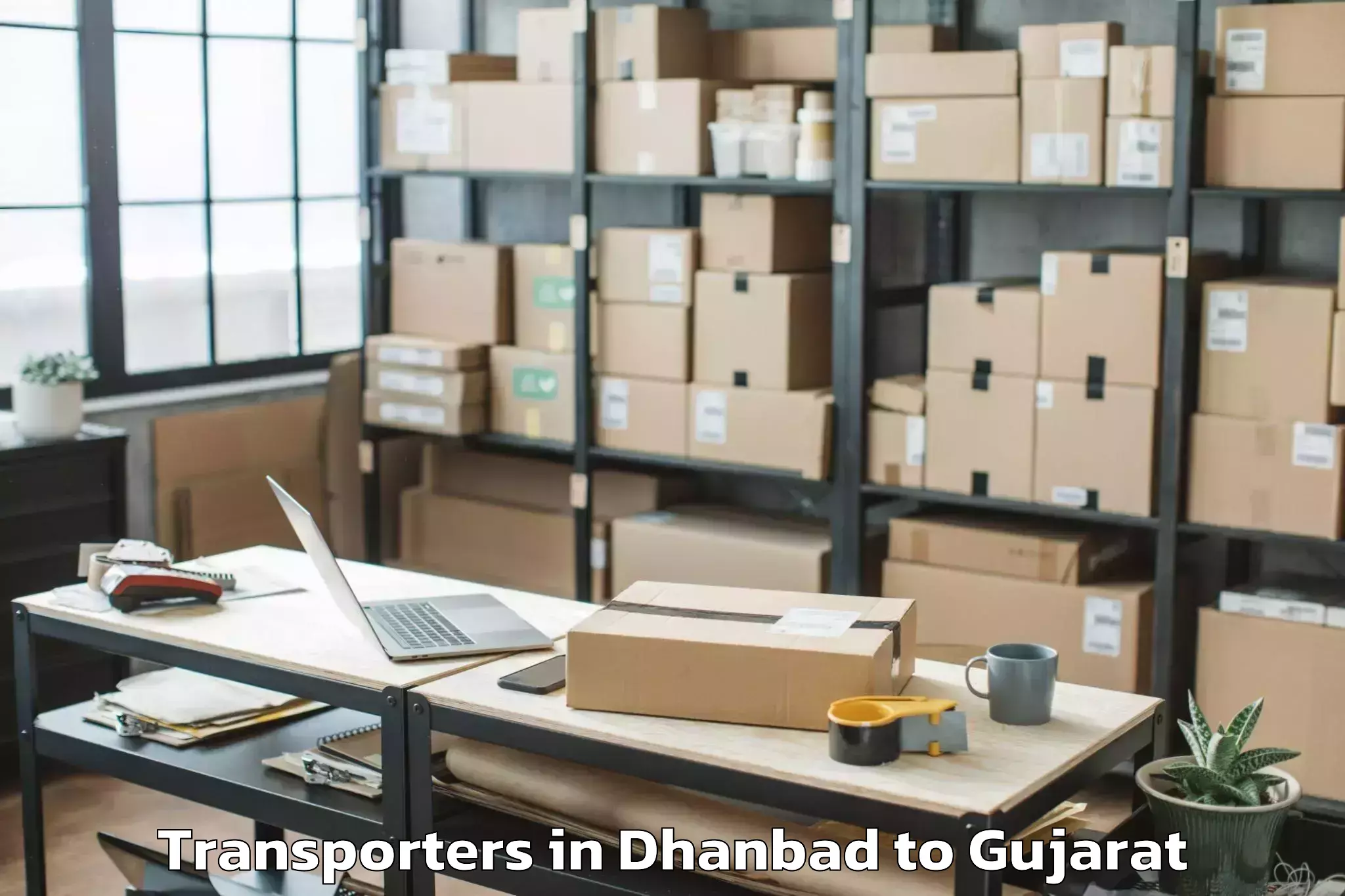 Top Dhanbad to Palitana Transporters Available